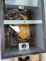 CGTC 7150 Grease Trap Treatment - Image 5